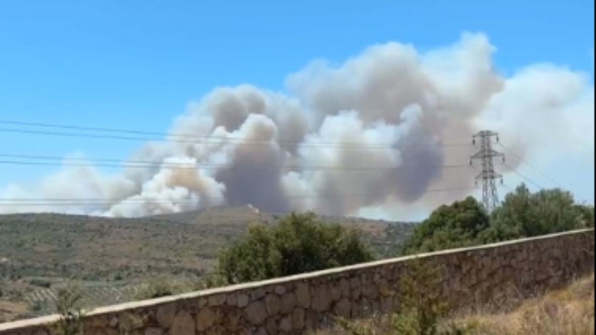 Çeşme'de orman yangını: Müdahale başladı