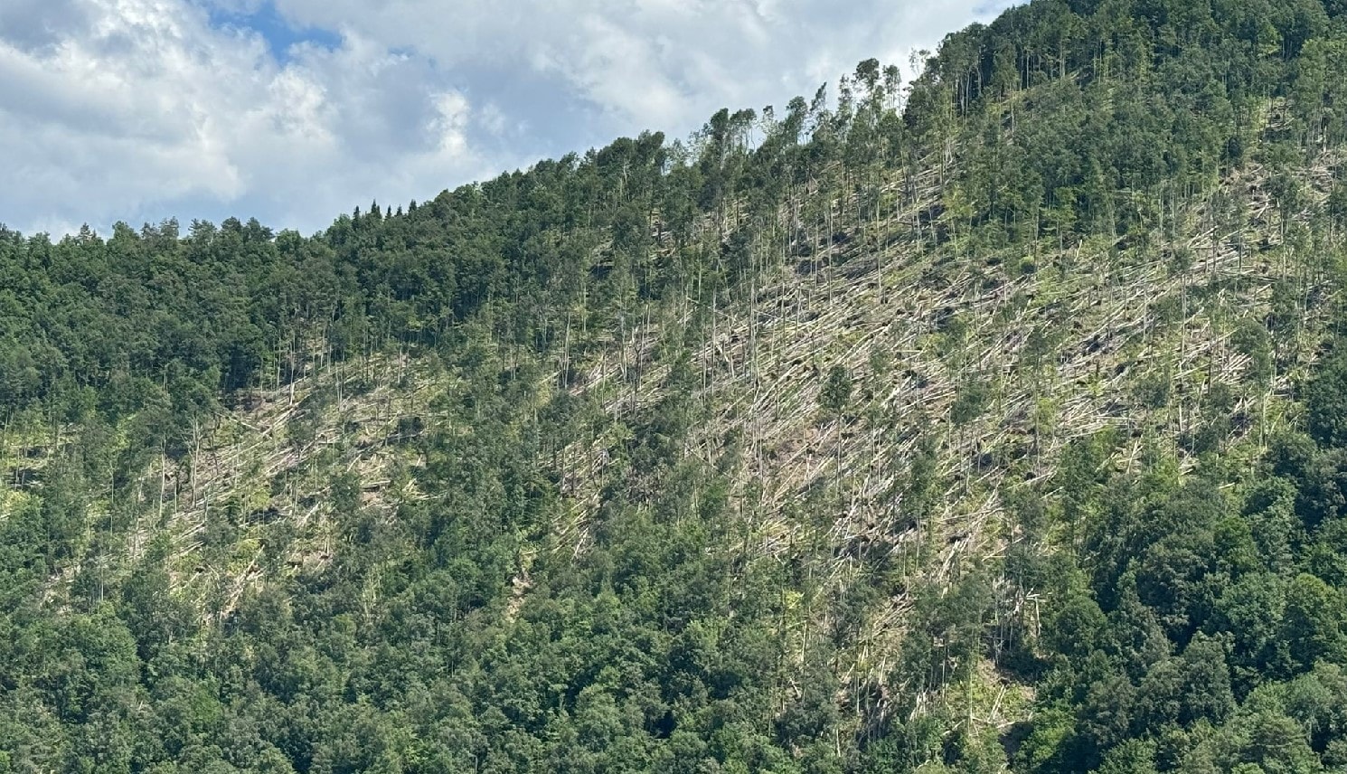 Uzman isimden uyarı: Alışık olmadığımız hortum olayları görülmeye başlandı