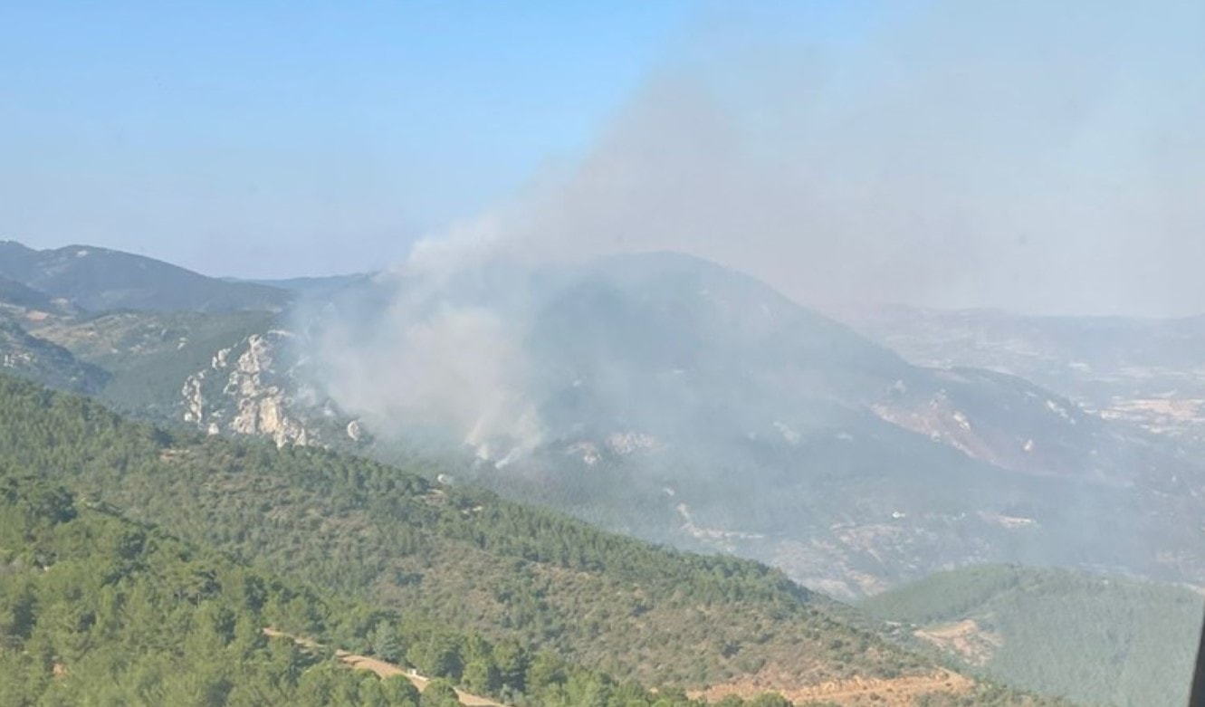 Bergama'daki orman yangını iki gündür sürüyor