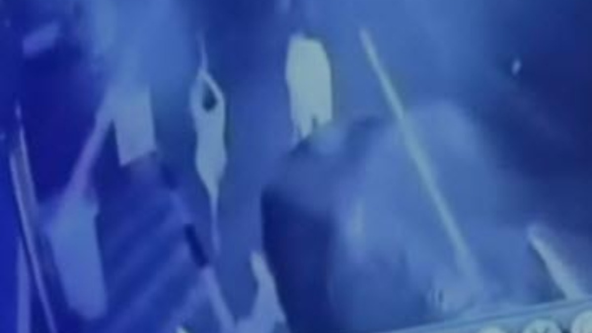 Korkunç olay! Köpeğe sopayla saldırdı