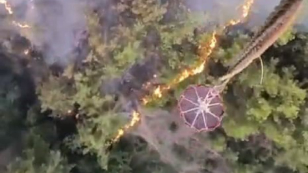 Adana'da orman yangını: 10 yayla evi tahliye edildi