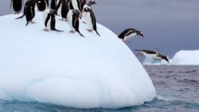 İklim değişikliği neler getirecek? Buzullar eriyecek mi?