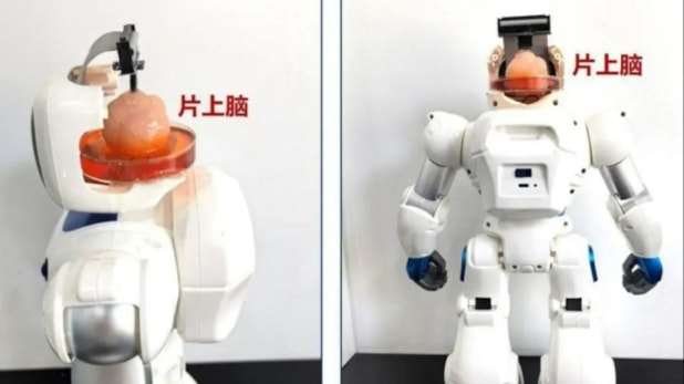 Dünyada ilk: İnsan beyniyle kontrol edilen çipli robot geliştirildi