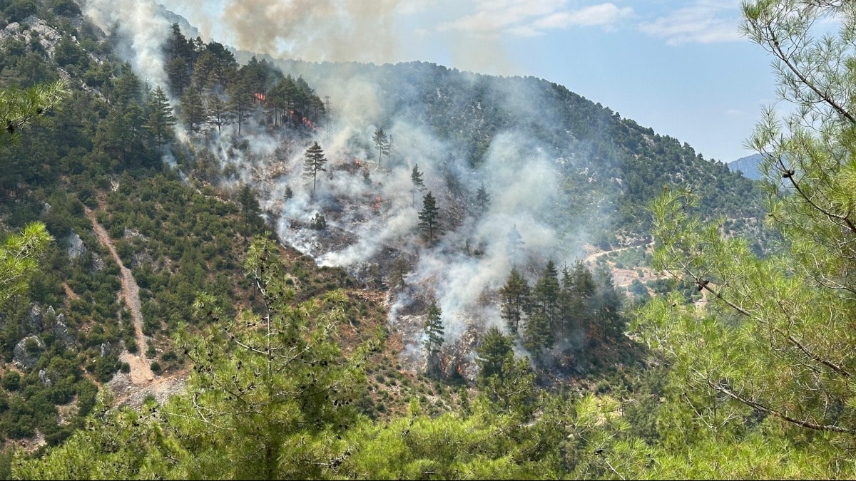 Adana'da korkutan orman yangını! Ekipler sevk edildi