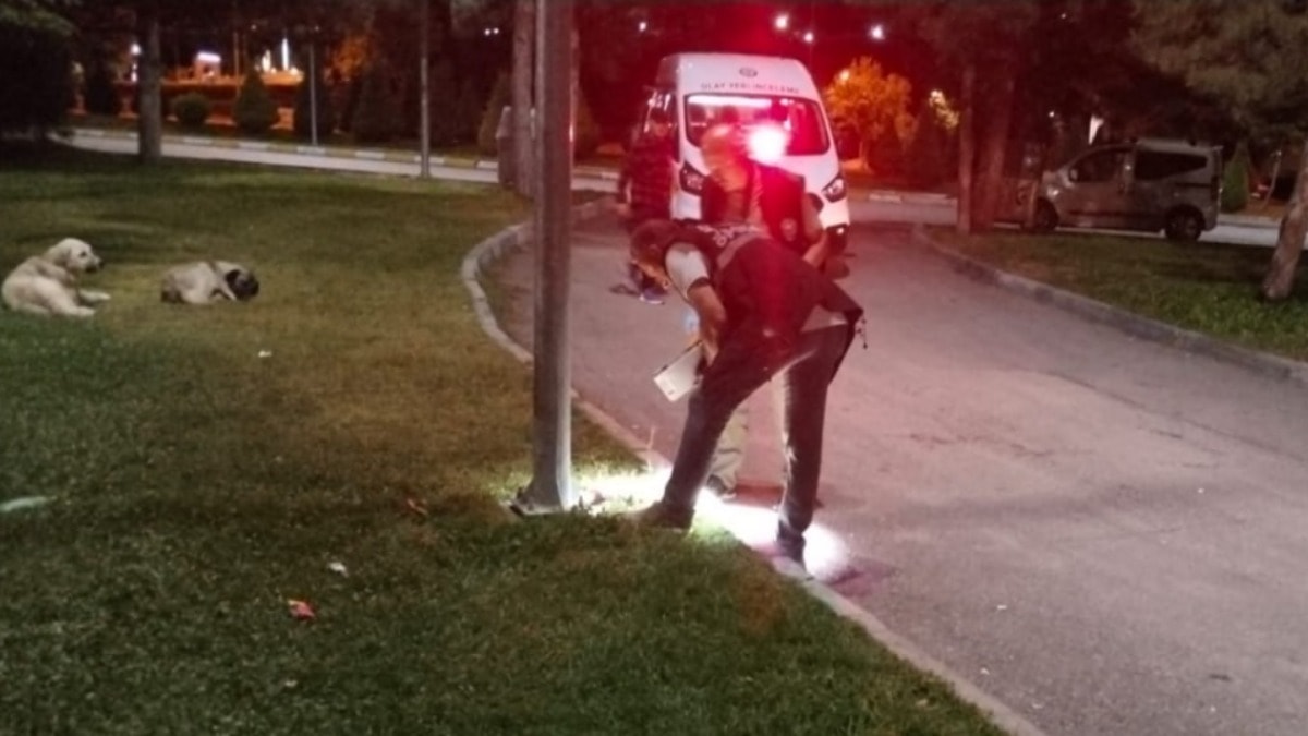 Parkta çıkan kavga kanlı bitti! 1'i ağır 2 yaralı