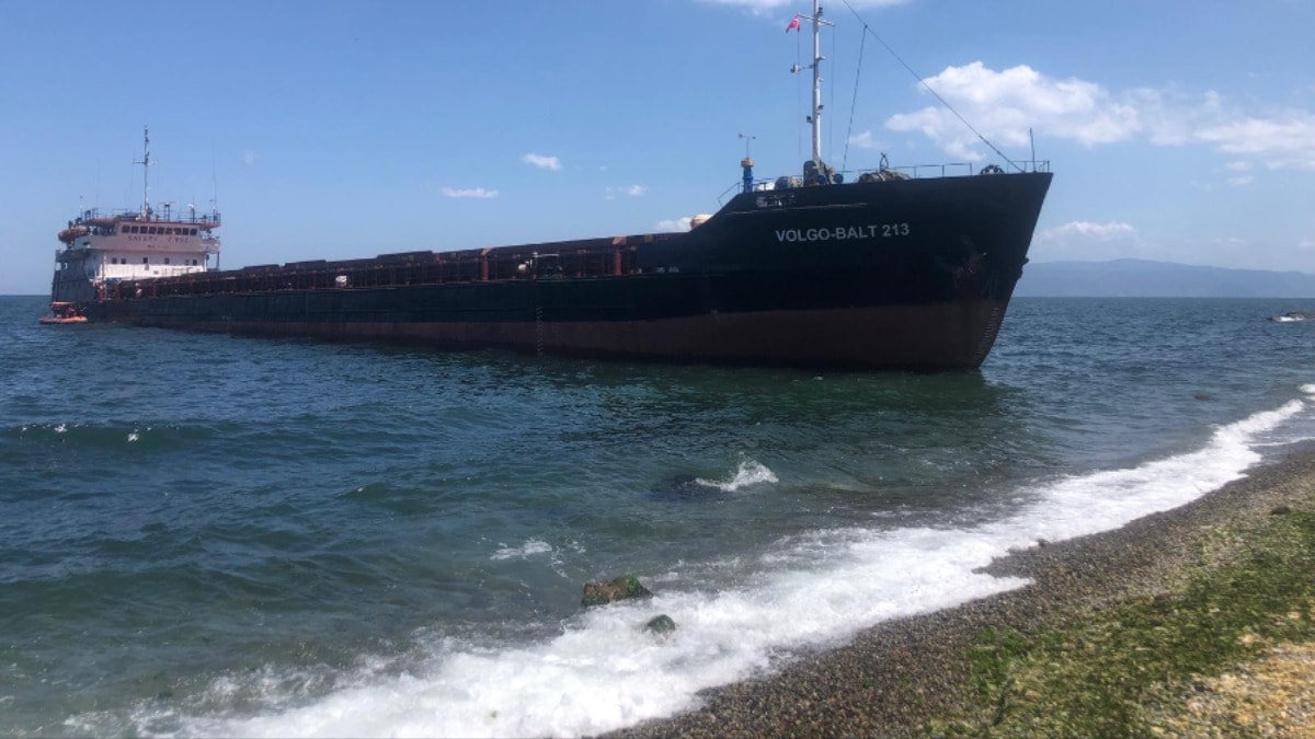 Mudanya ilçesinde kargo gemisi karaya oturdu
