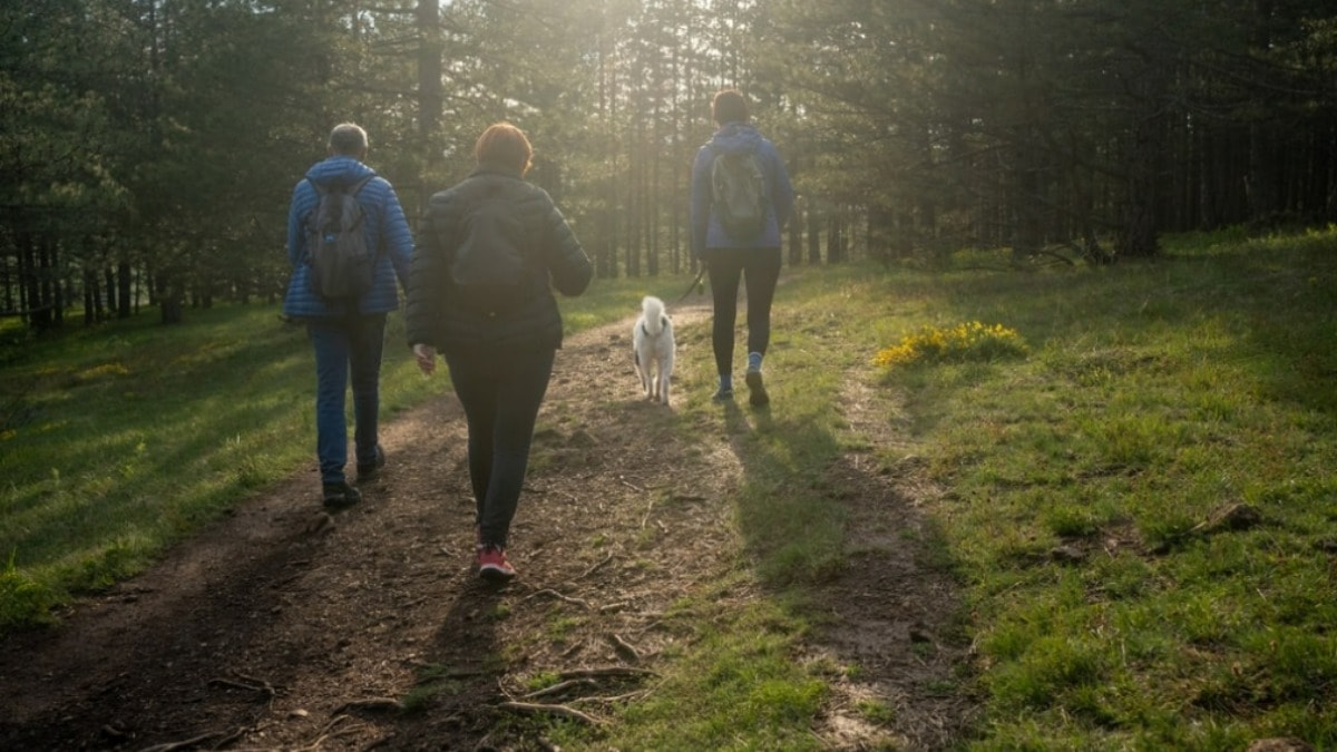 Araştırma: Zamanı yavaşlatmak ve stresi azaltmak için bunu yapın