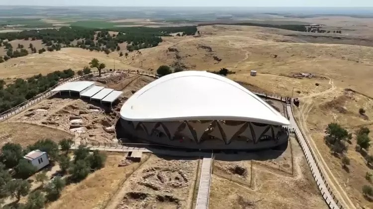 Göbeklitepe'deki ağaçları para için dikmişler