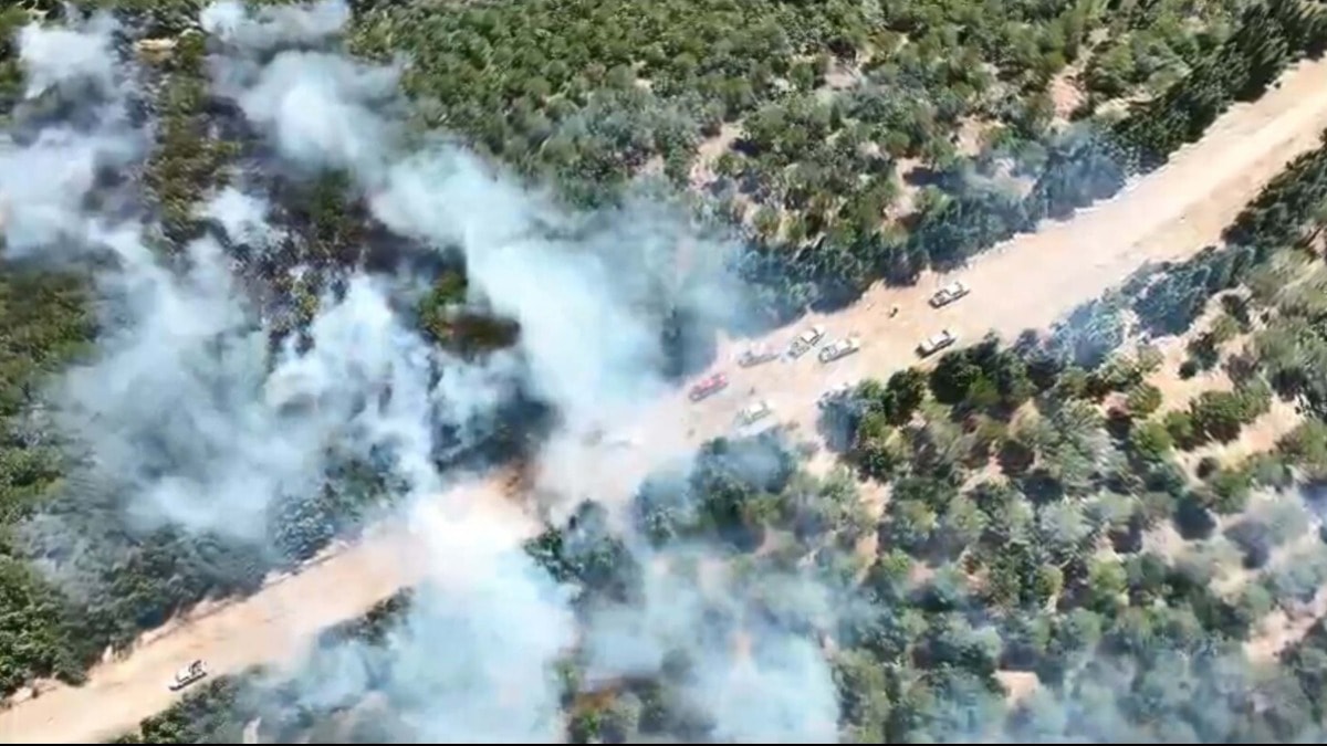 Bayramiç'teki orman yangını 24 saat sonra kontrol altına alındı