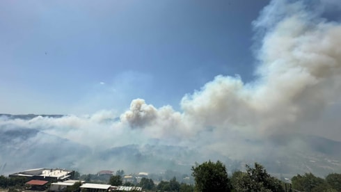 4 ilde orman yangını: Kara yolu kapatıldı