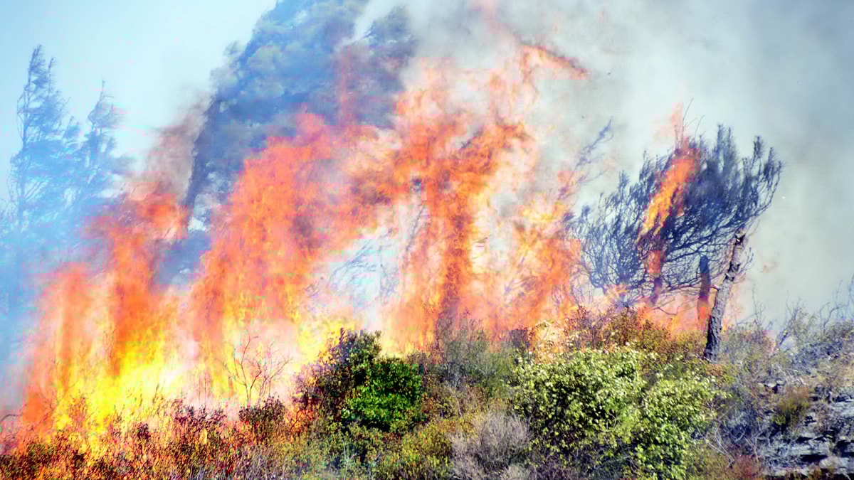 İkizköy’de orman yangını