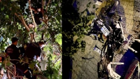 Aracın çarpmasıyla 5 metrelik ağaçta asılı kaldı