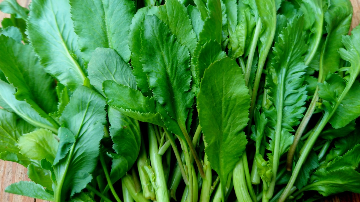 Sofranızdan eksik etmeyeceksiniz: Bronşit ve astımın şifası!