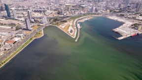 Deniz neden renk değiştiriyor? Plankton patlaması nedir?