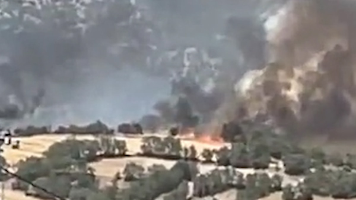 Anız yangınında 100 dönüm tarım arazisi küle döndü