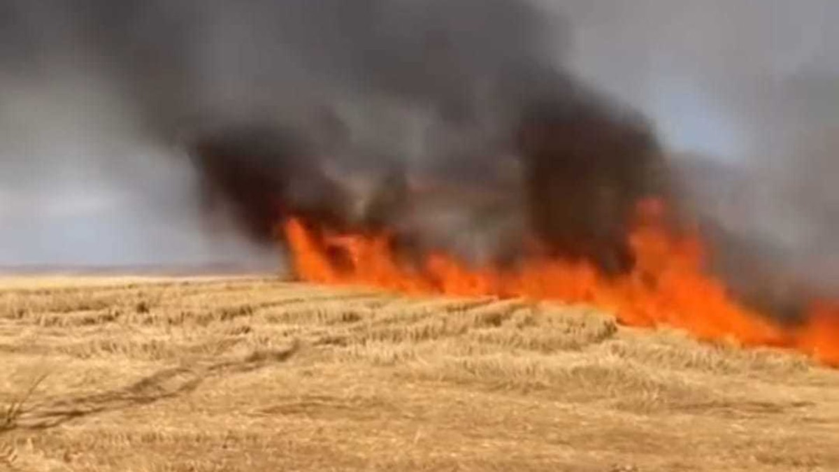 Anız yangınında 50 dönüm arazi kül oldu