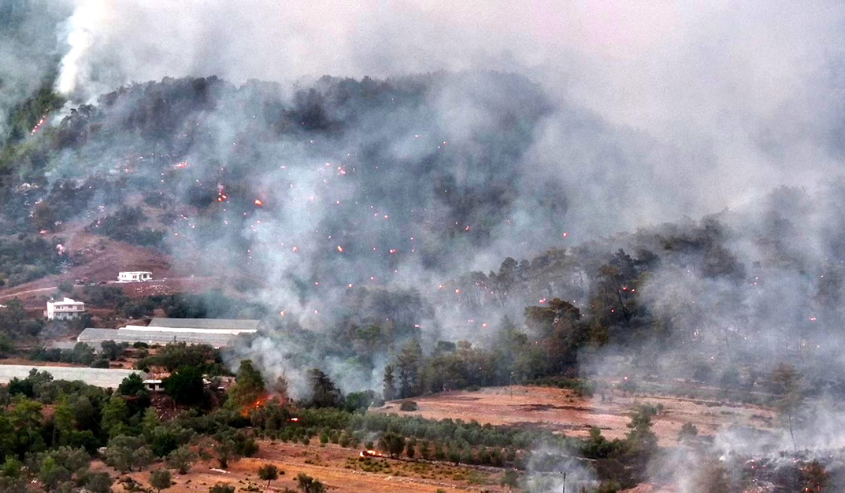 Antalya'daki yangında 81 hektar kül oldu