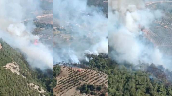 Hatay'daki orman yangını söndürüldü
