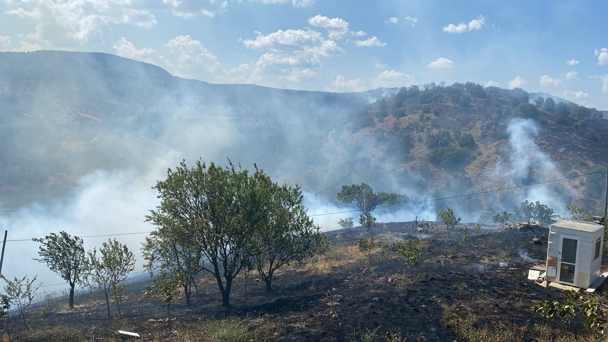 Ankara'da büyük yangın: Yerleşim yerine de sıçradı