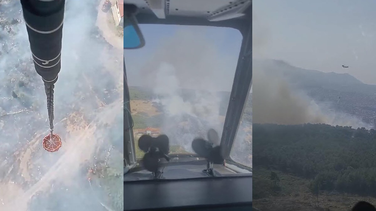 İzmir Buca'da orman yangını