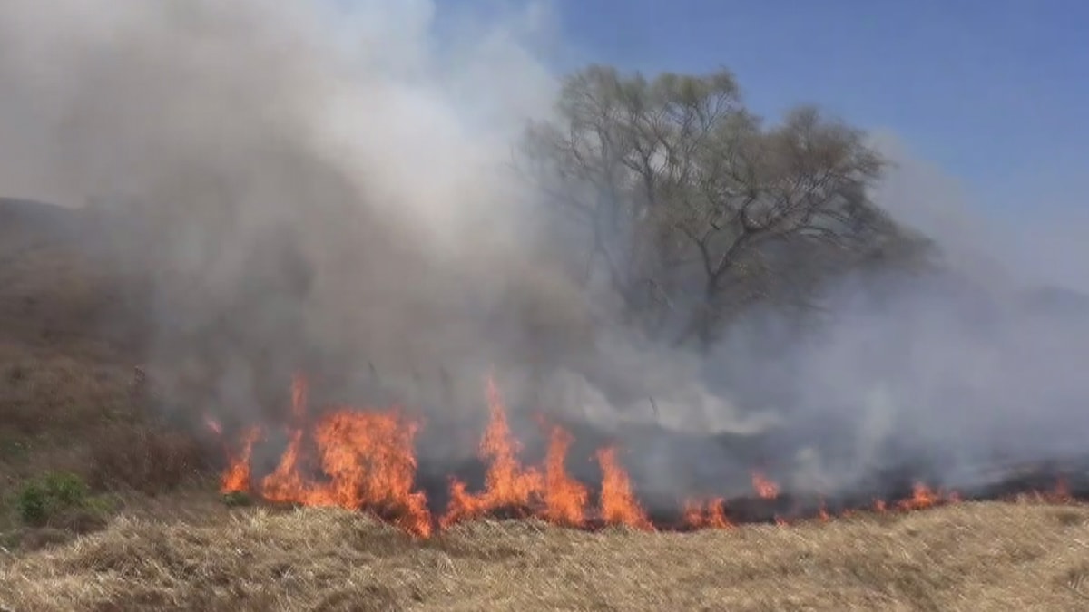 Silivri'deki yangın itfaiye ekipleri tarafından söndürüldü