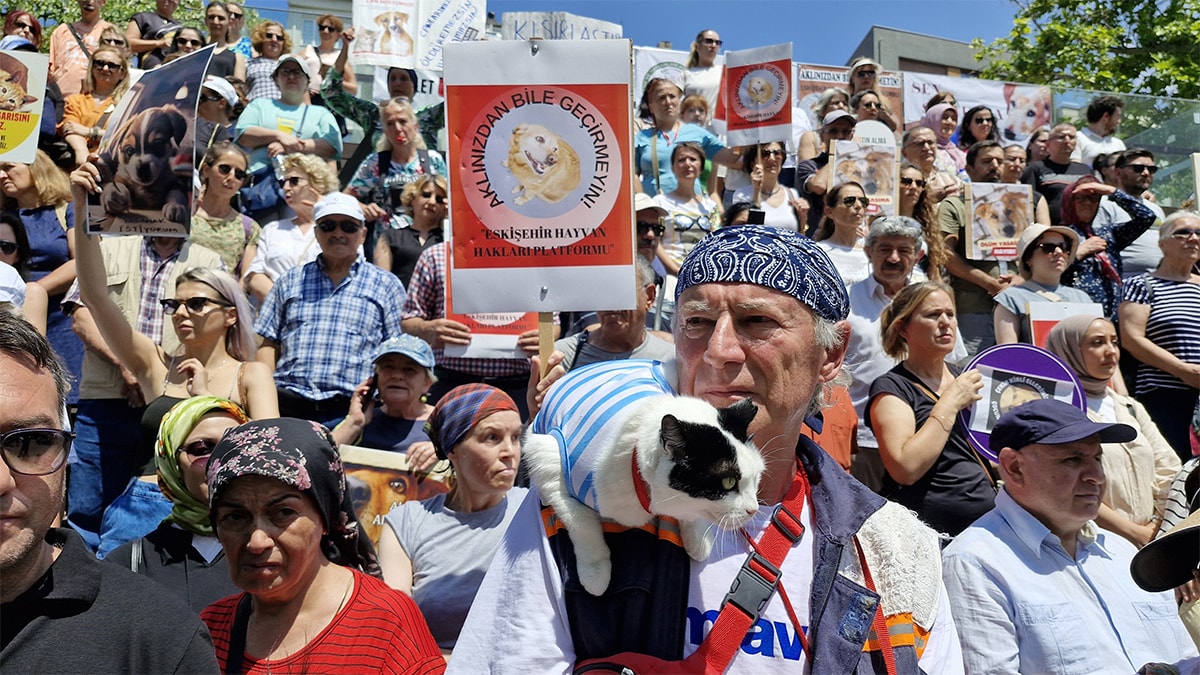 Hayvan hakları savunucuları: Dostlarımızı öldürmenize izin vermeyeceğiz