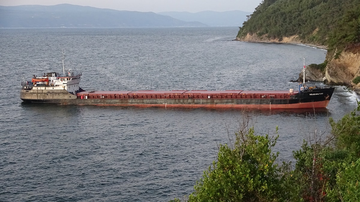 Kaptan uyudu, kargo gemisi karaya oturdu