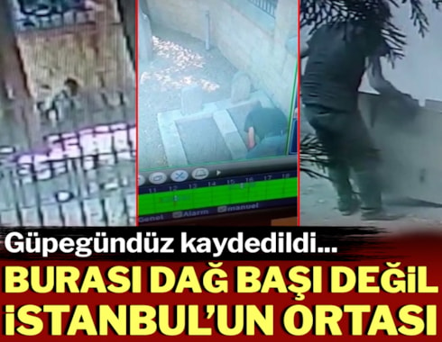 İstanbul'un göbeğinde güpegündüz define kazısı