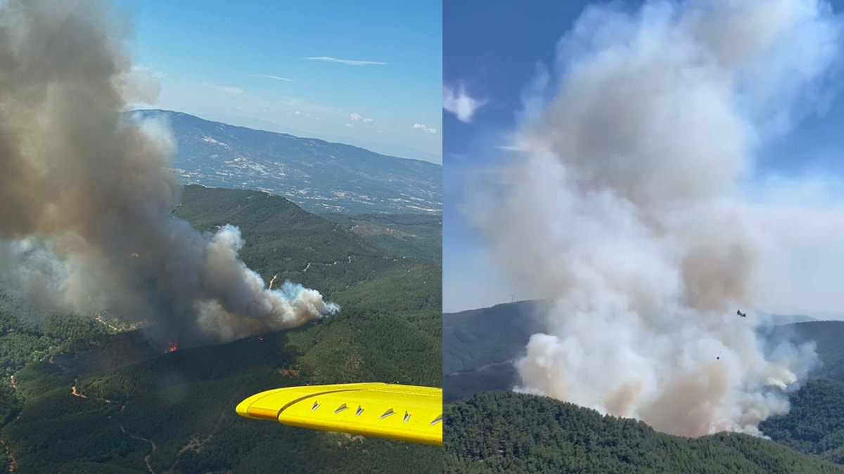 İzmir’de orman yangını: Havadan ve karadan müdahale ediliyor