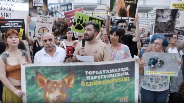 Sokak hayvanlarıyla ilgili kanun teklifi İstanbul'da protesto edildi