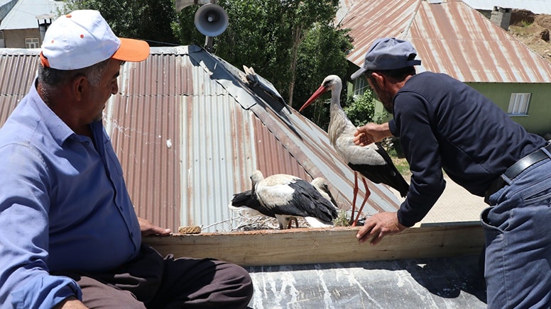 Caminin kubbesine yuva yapan leyleklere köylüler bakıyor