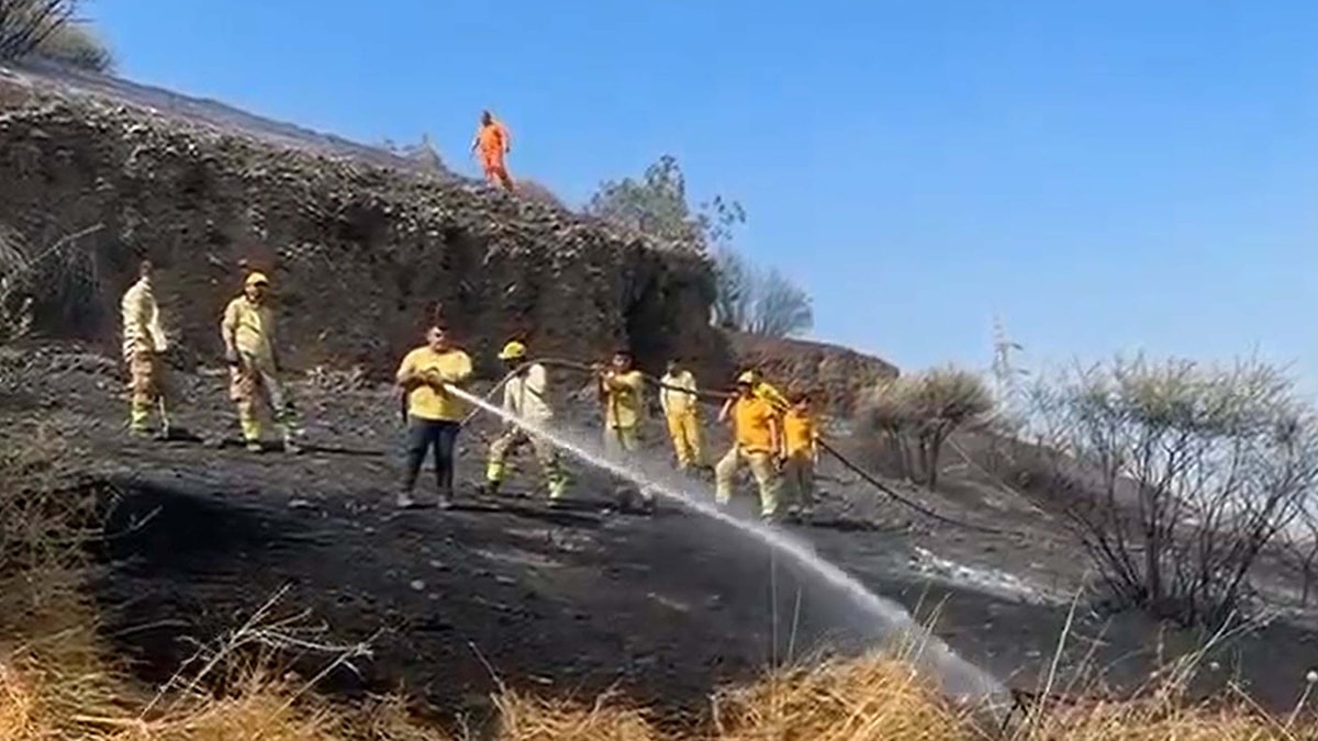 Aydın'da makilik alanda yangın