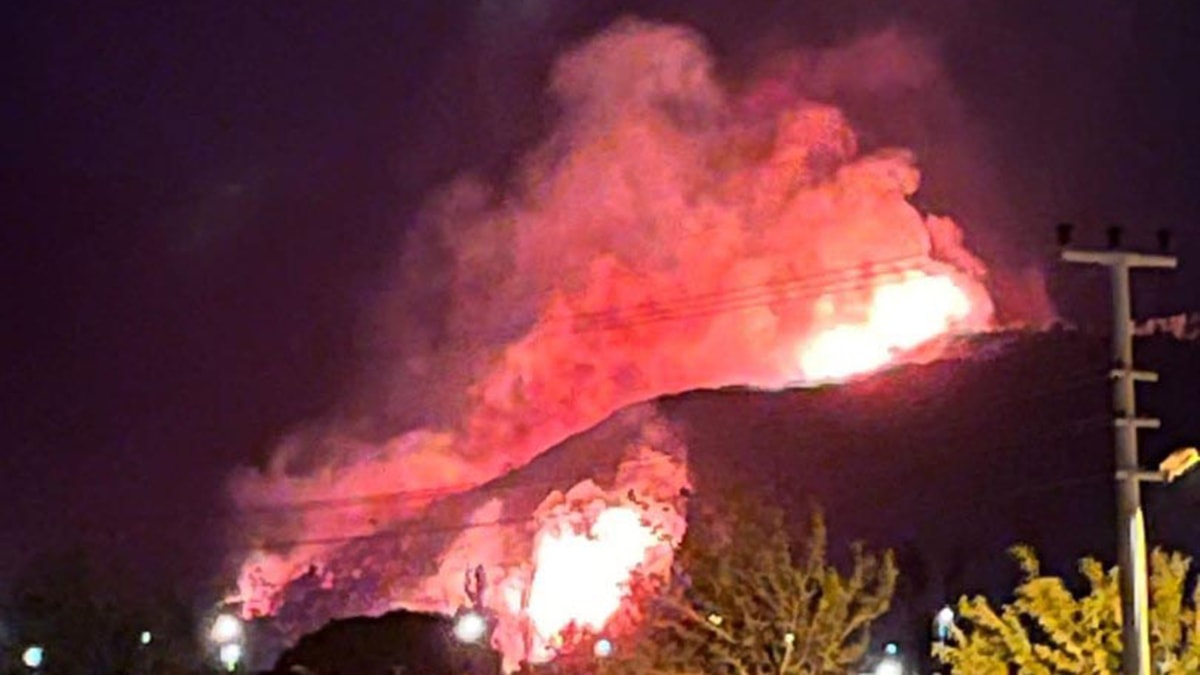 İzmir ve Antalya'da orman yangını