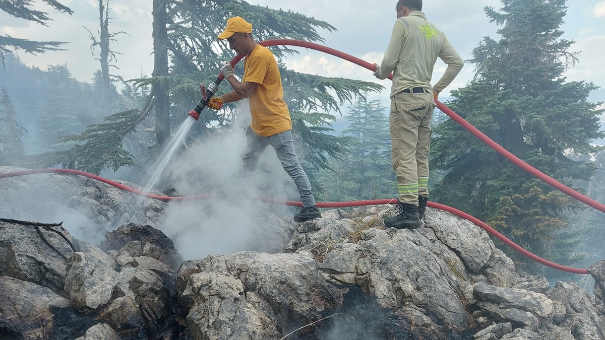 Adana Saimbeyli'de orman yangını