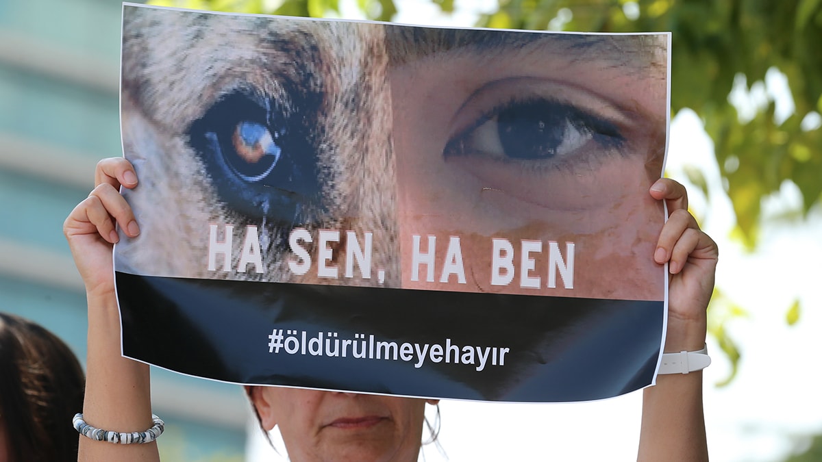 Meclis önünde ötanazi nöbeti