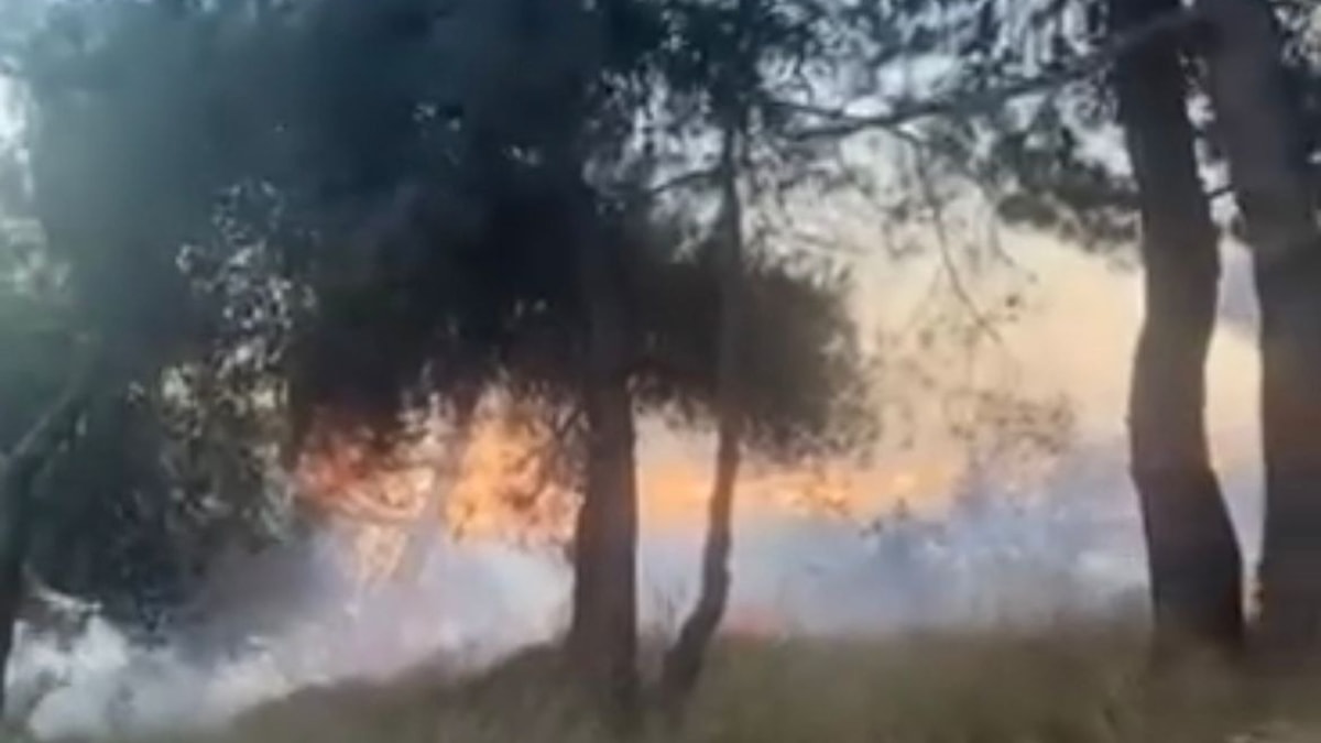 Piknik alanında korkutan yangın