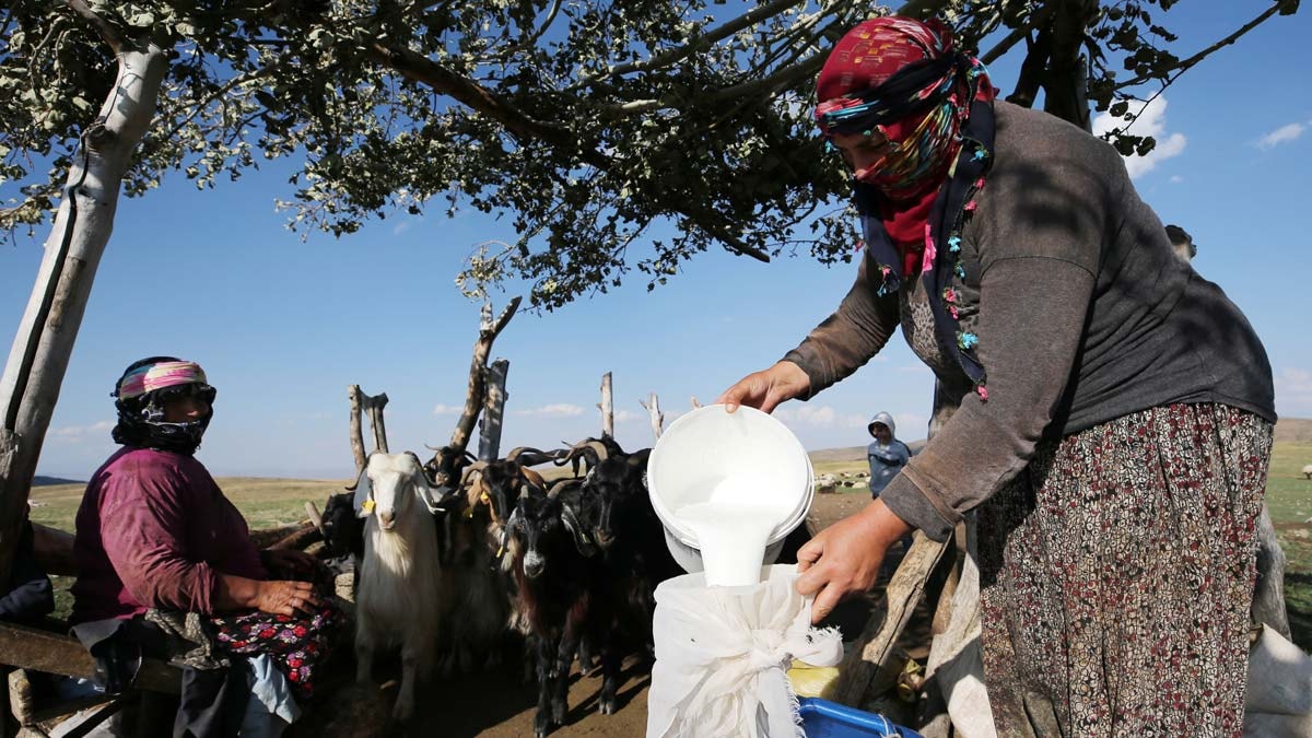 Göçer kadınların hayatı zorluklarla mücadeleyle geçiyor