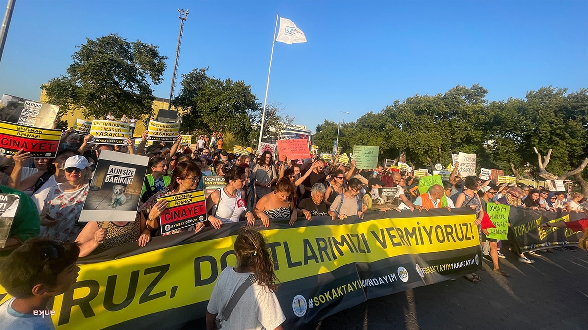 Sokak hayvanları yasasına karşı yaşam zinciri oluşturuldu