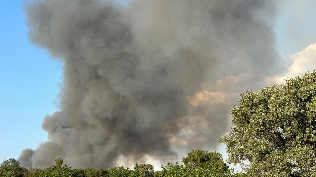 Balıkesir ve Uşak'ta korkutan yangın