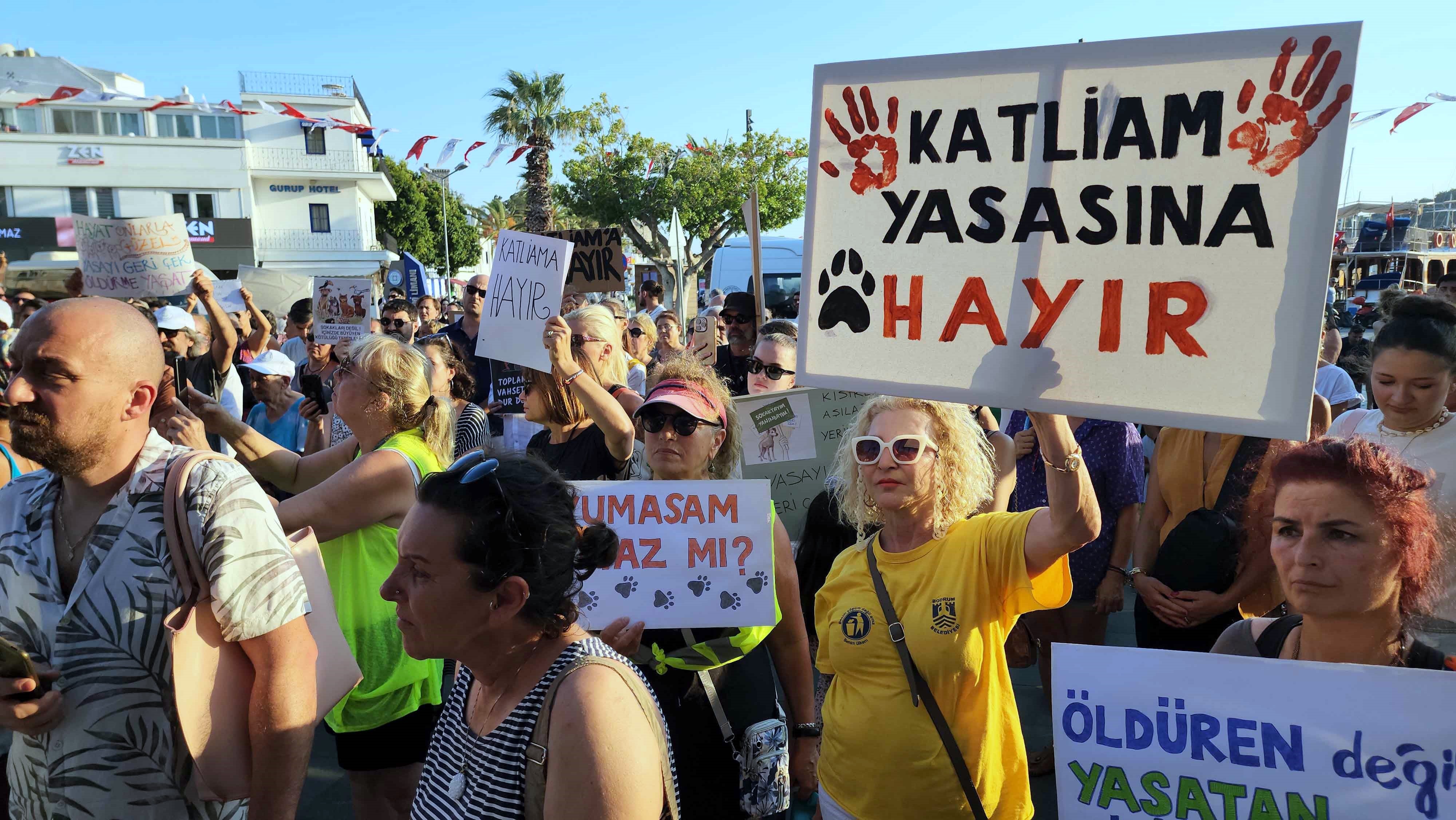 Bodrum'da 'ötanazi yasası' eylemi