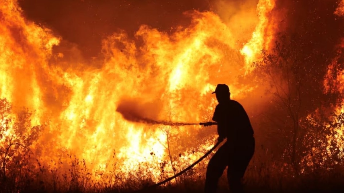 Komşu da yangınlarla mücadele ediyor