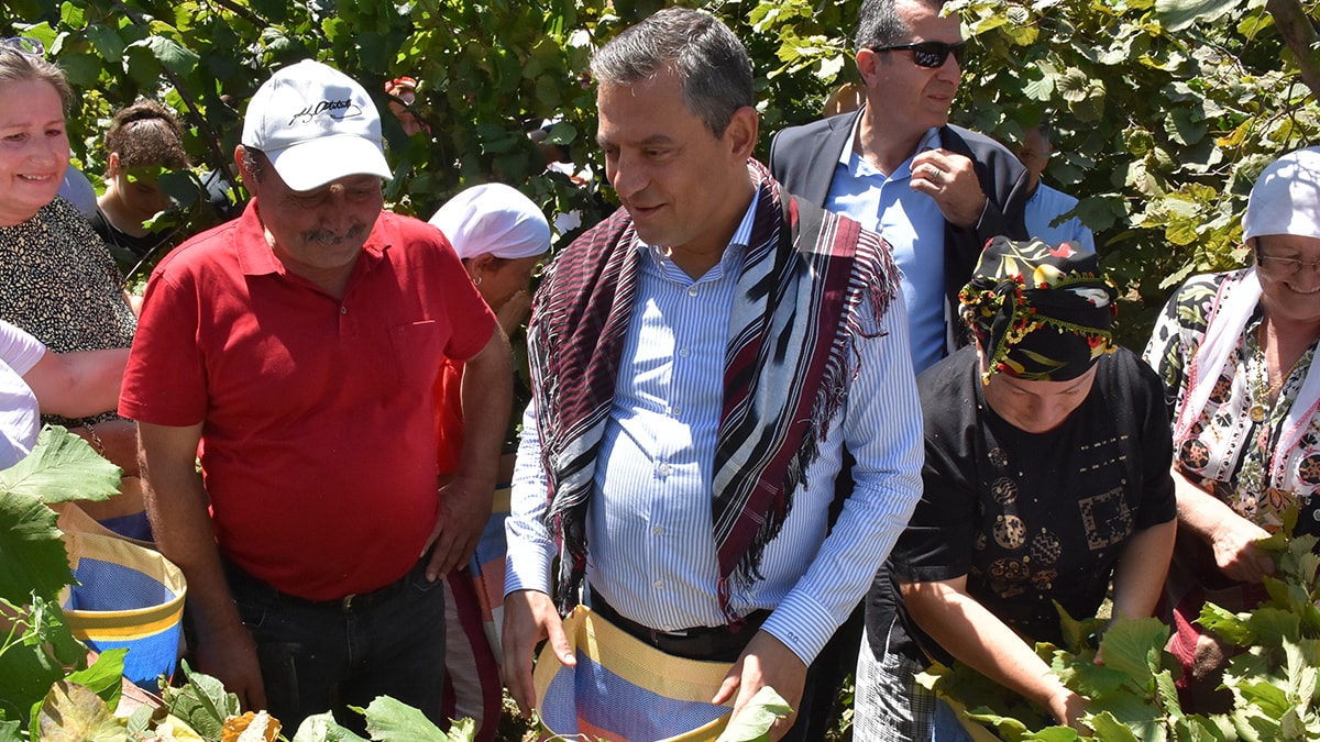 Özgür Özel'den fındık fiyatına sert tepki: Tamamen ihanet