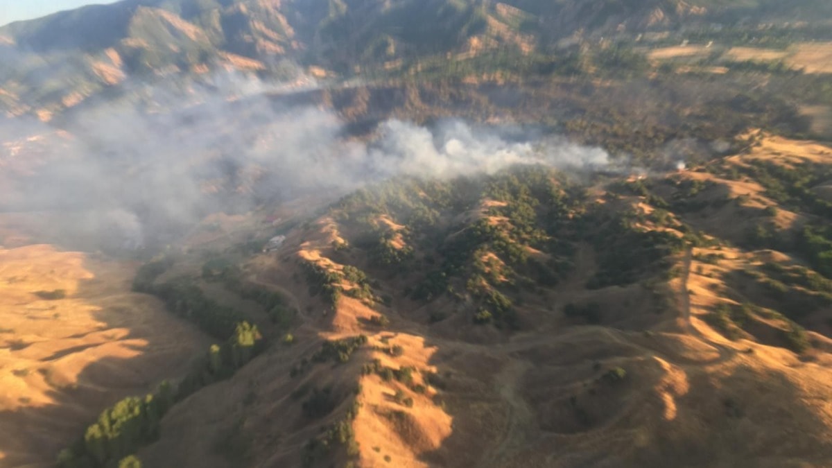 Bingöl'de çıkan orman yangını, söndürüldü