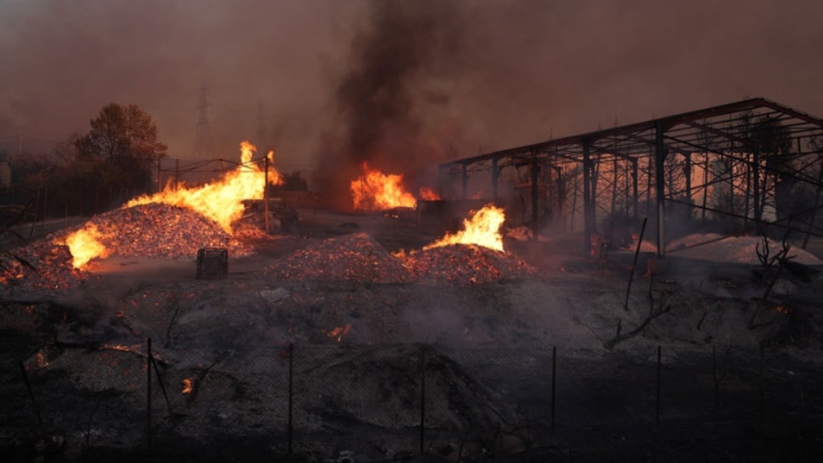 Yunanistan'da yangın felaketinde bir kişi öldü