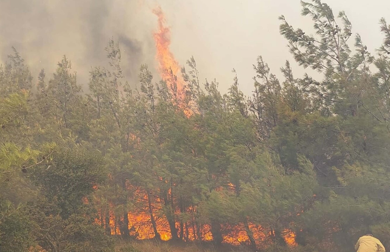 Çanakkale'de orman yangını: Conkbayırı ziyarete kapatıldı