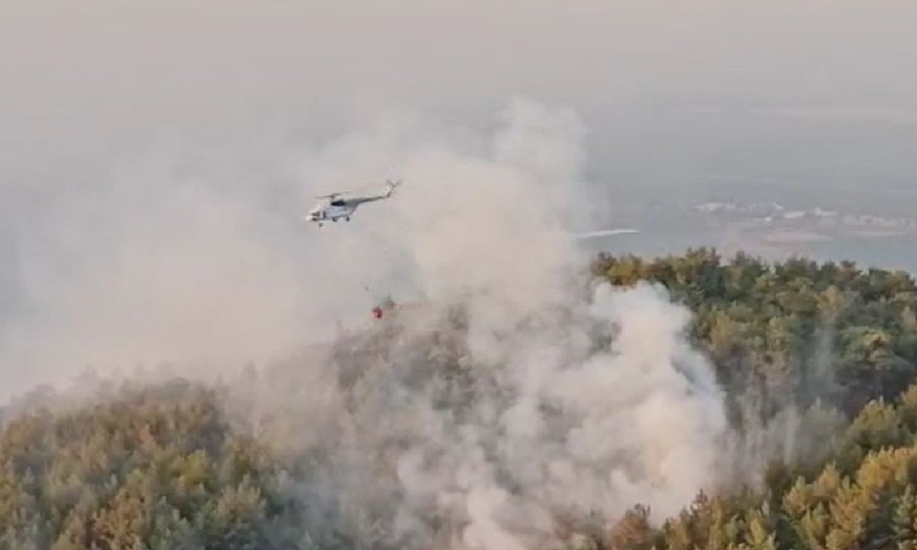Aydın'daki orman yangını 21 saatte söndü