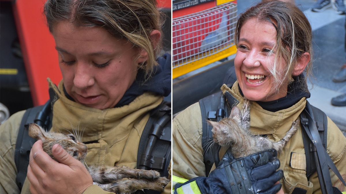 İtfaiyeci, yangından çıkardığı kedinin hayatını kurtardı