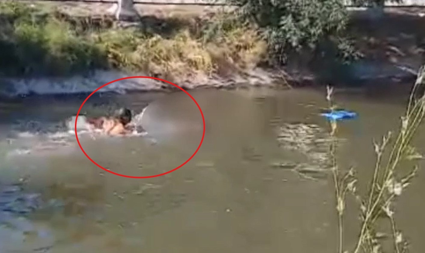 Sulama kanalına düşen çocuğu kurtardı, kendisi can verdi