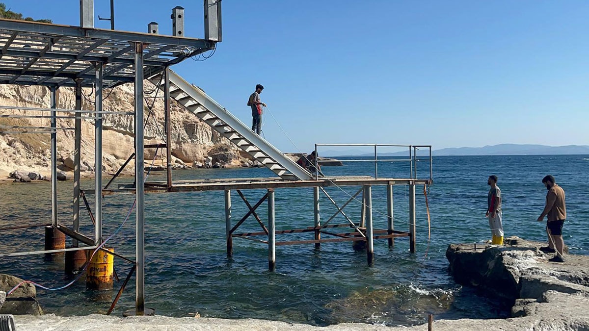 Akdeniz fokları için güzel haber: Yuvaları kurtuluyor