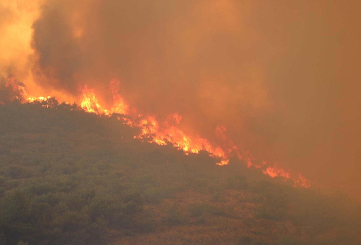 Yangınlar Ege'den 'Yalova kadar alan' eksiltti